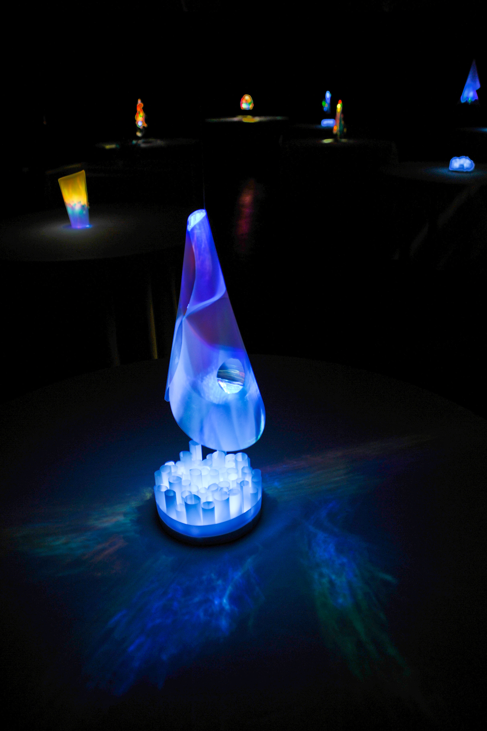 LightingDonorDinner (100)